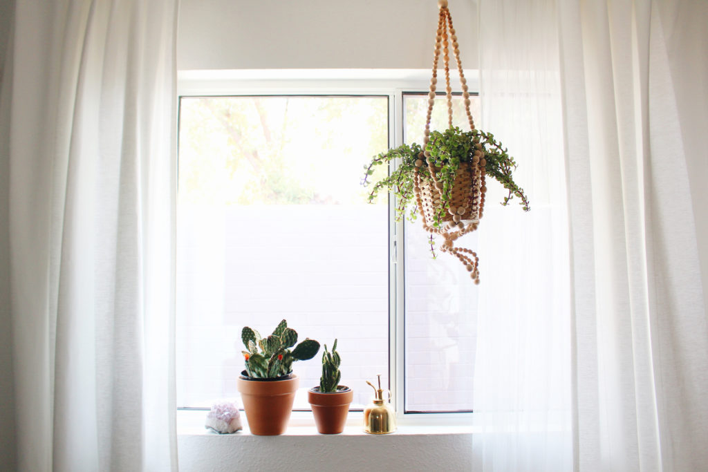 New Darlings - Plants in windowsill 