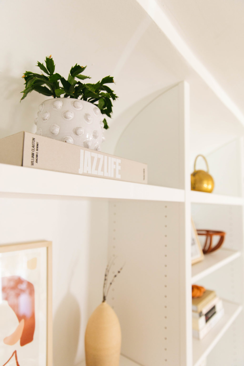 Adding Plants to Your Bookcase