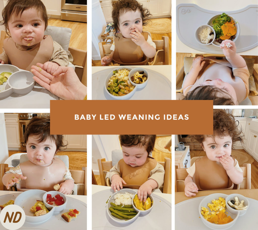 Led Weaning Ideas for 1st Year - New Darlings
