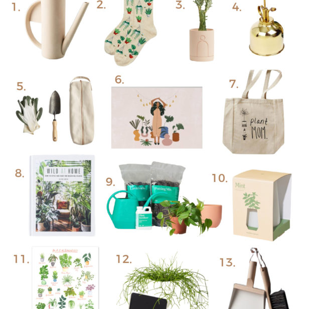 gift ideas for plant lovers