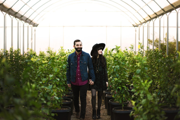 Greenhouse New Darlings