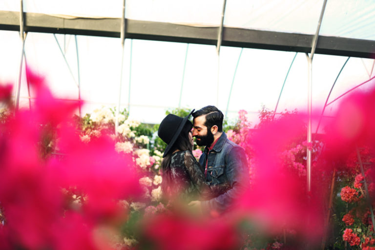 Greenhouse New Darlings