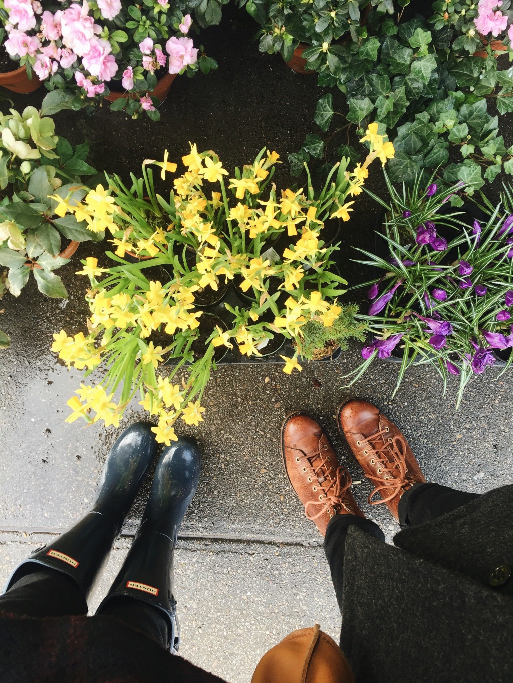 New Darlings - Flowers and Boots - Hunter and Catfootwear