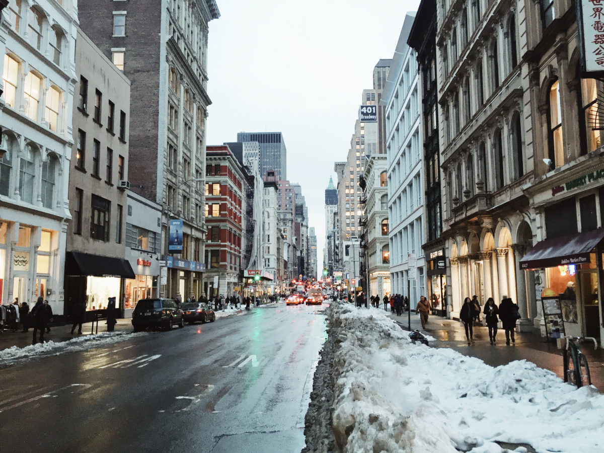 Blizzard 2016: New York - New Darlings