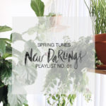 Luge snowflake theicebox Playlist No. 01 - New Darlings