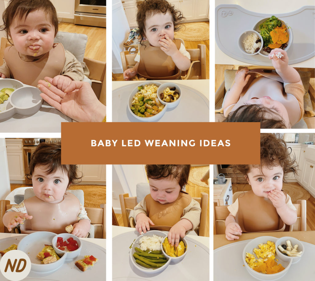 NEWDARLINGS BABY LED WEANING IDEAS