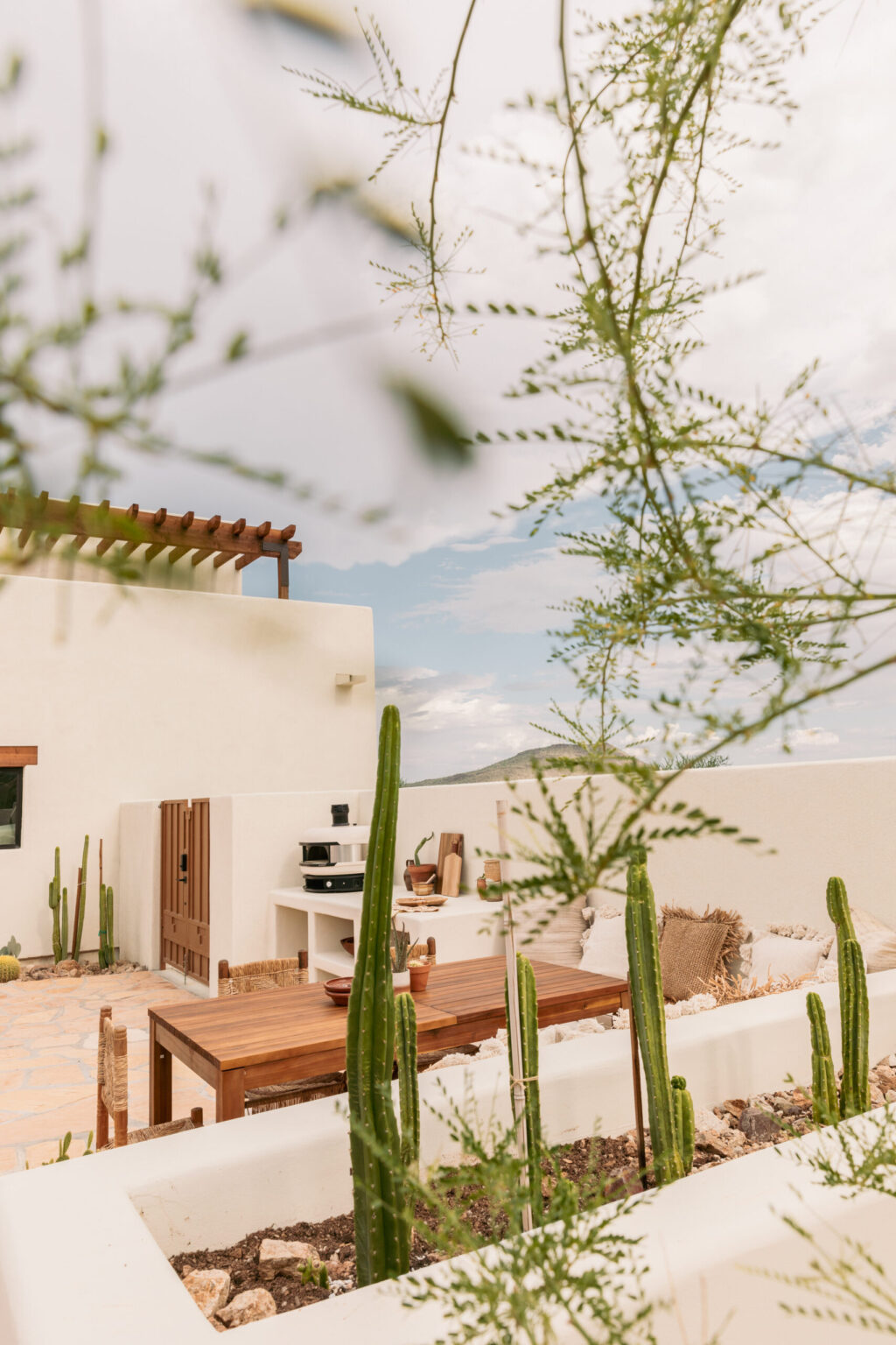 outdoor kitchen - stucco Mediterranean style - southwest desert backyard - cactus built in planter
