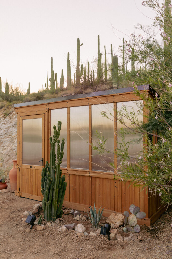 Desert vegetable garden - wooden greenhouse