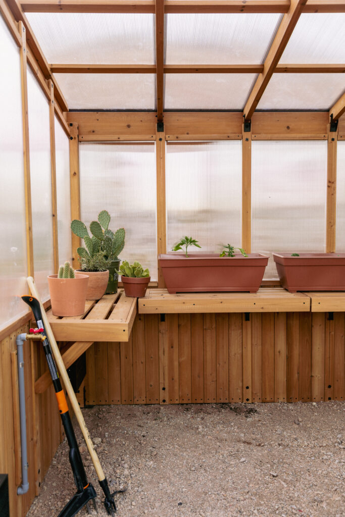 Desert vegetable garden - wooden greenhouse